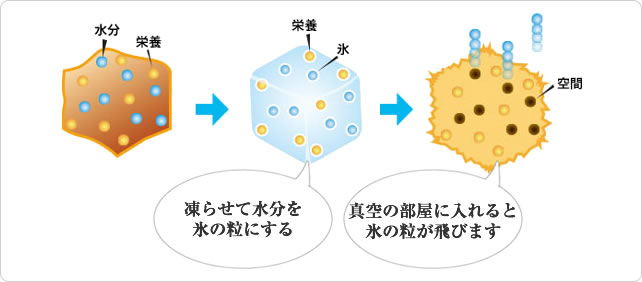 フリーズドライの構造